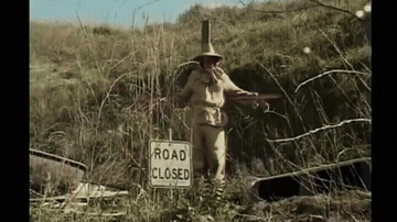 Weird Porn GIF